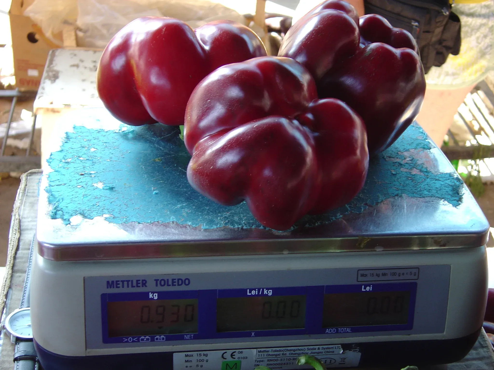 Semințe Ardei ZKI Bihar F1