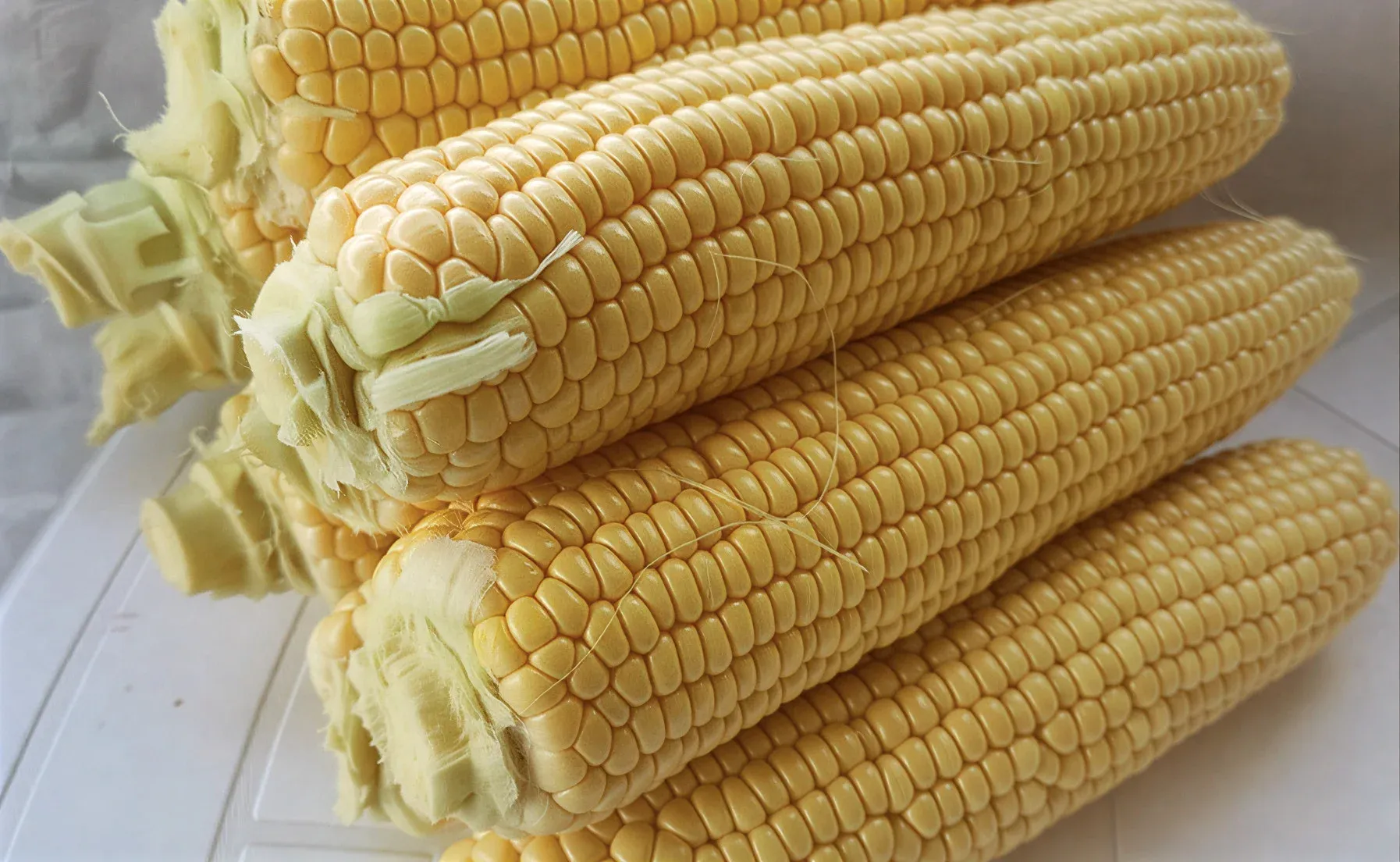 Semințe Porumb Dulce ZKI Zeaton F1