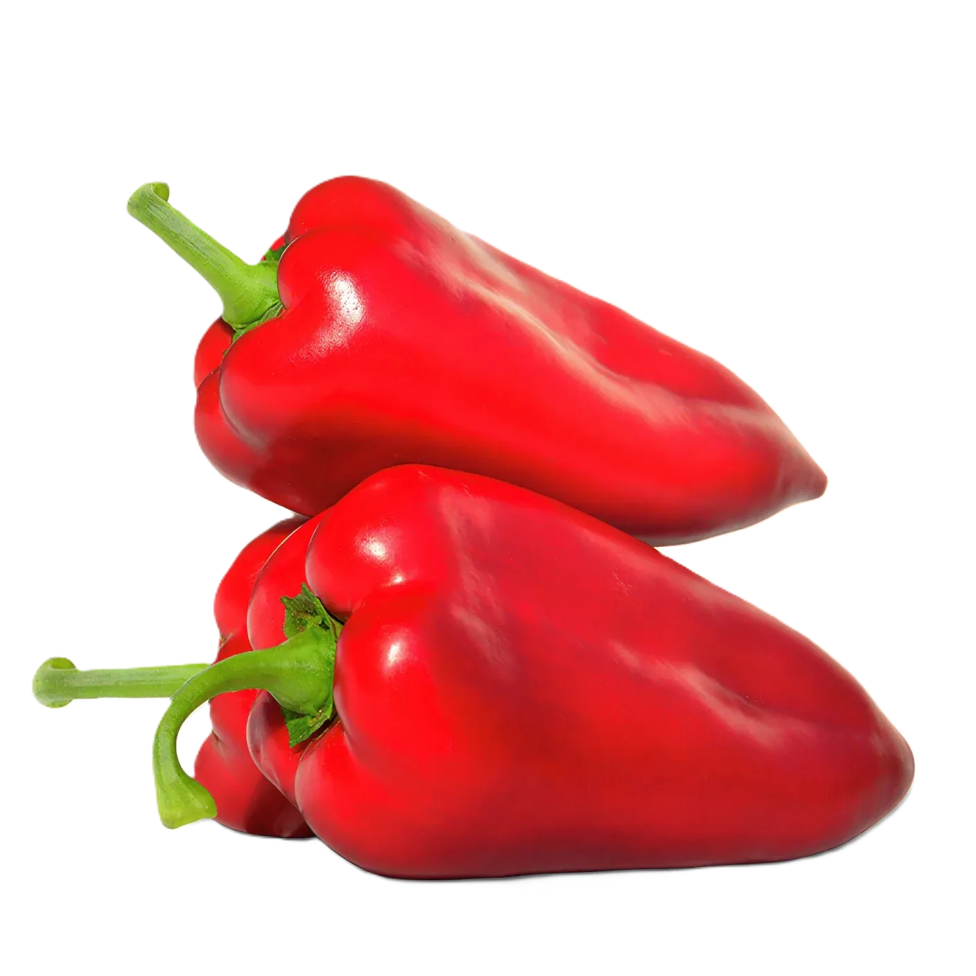 Semințe Ardei ZKI Rubicon F1