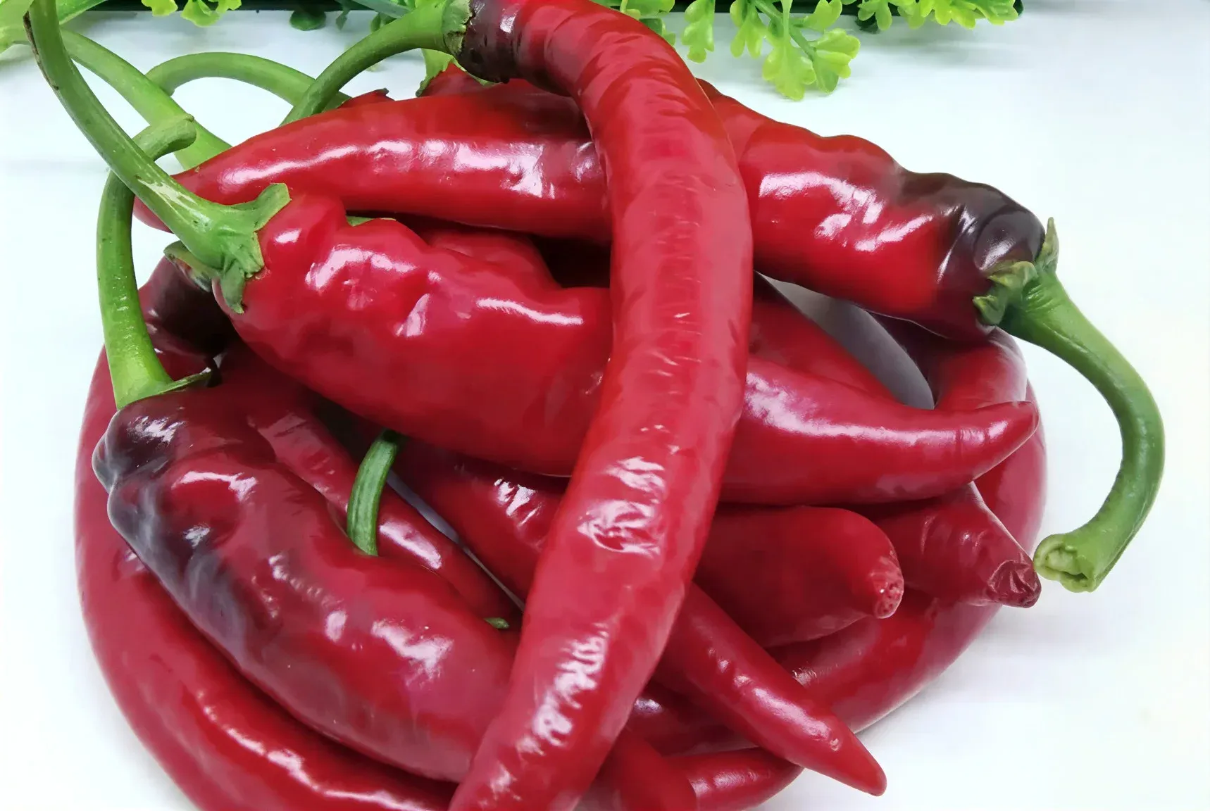 Semințe Ardei Iute ZKI Hiros F1