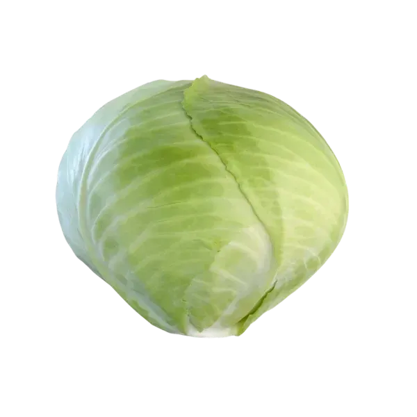 Semințe Varză Albă Rijk Zwaan Ancoma F1