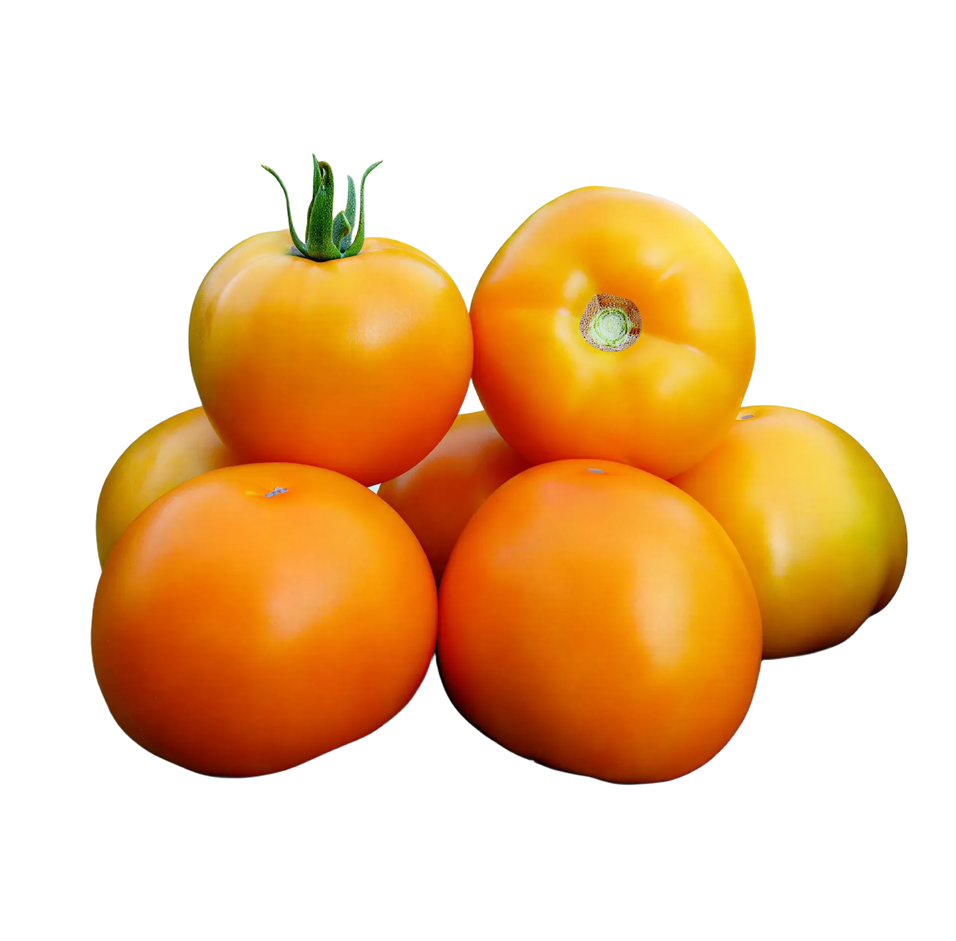 Semințe Tomate Kitano Nuxy F1 (KS 17)