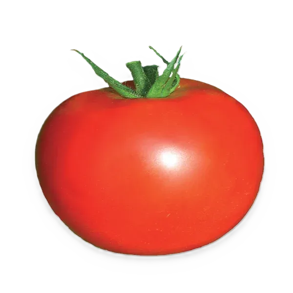 Semințe Tomate ZKI Mobil