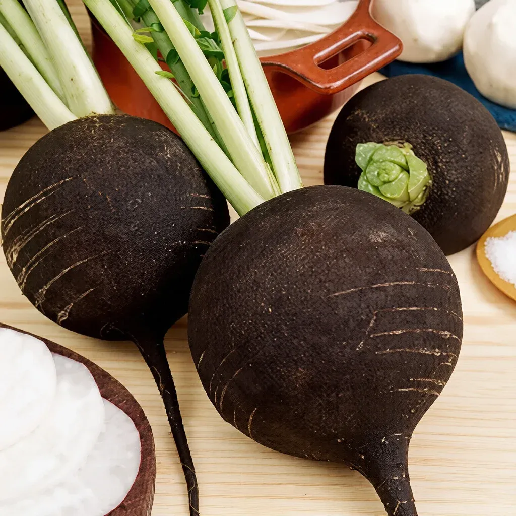 Semințe Ridiche de Iarnă Satimex Black Winter