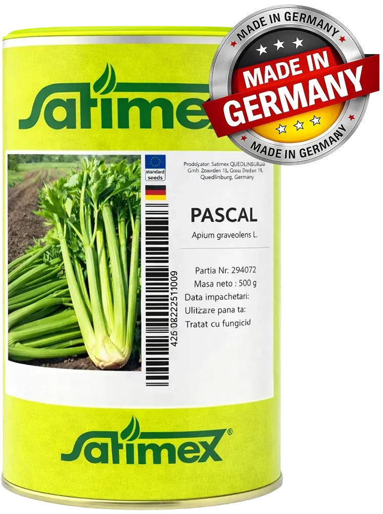 Semințe Țelină Frunzoasă Satimex Pascal