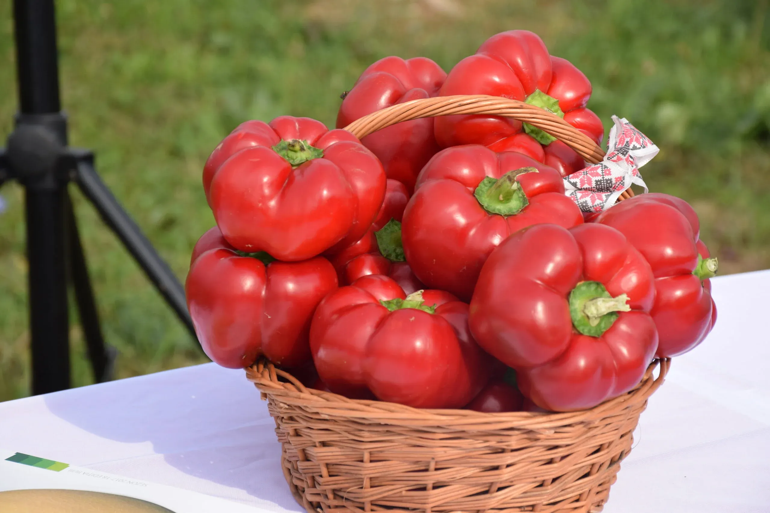 Semințe Ardei ZKI Bihar F1