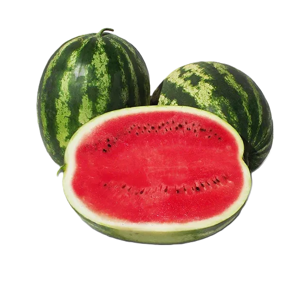 Semințe Pepene Verde ZKI Stabilo F1