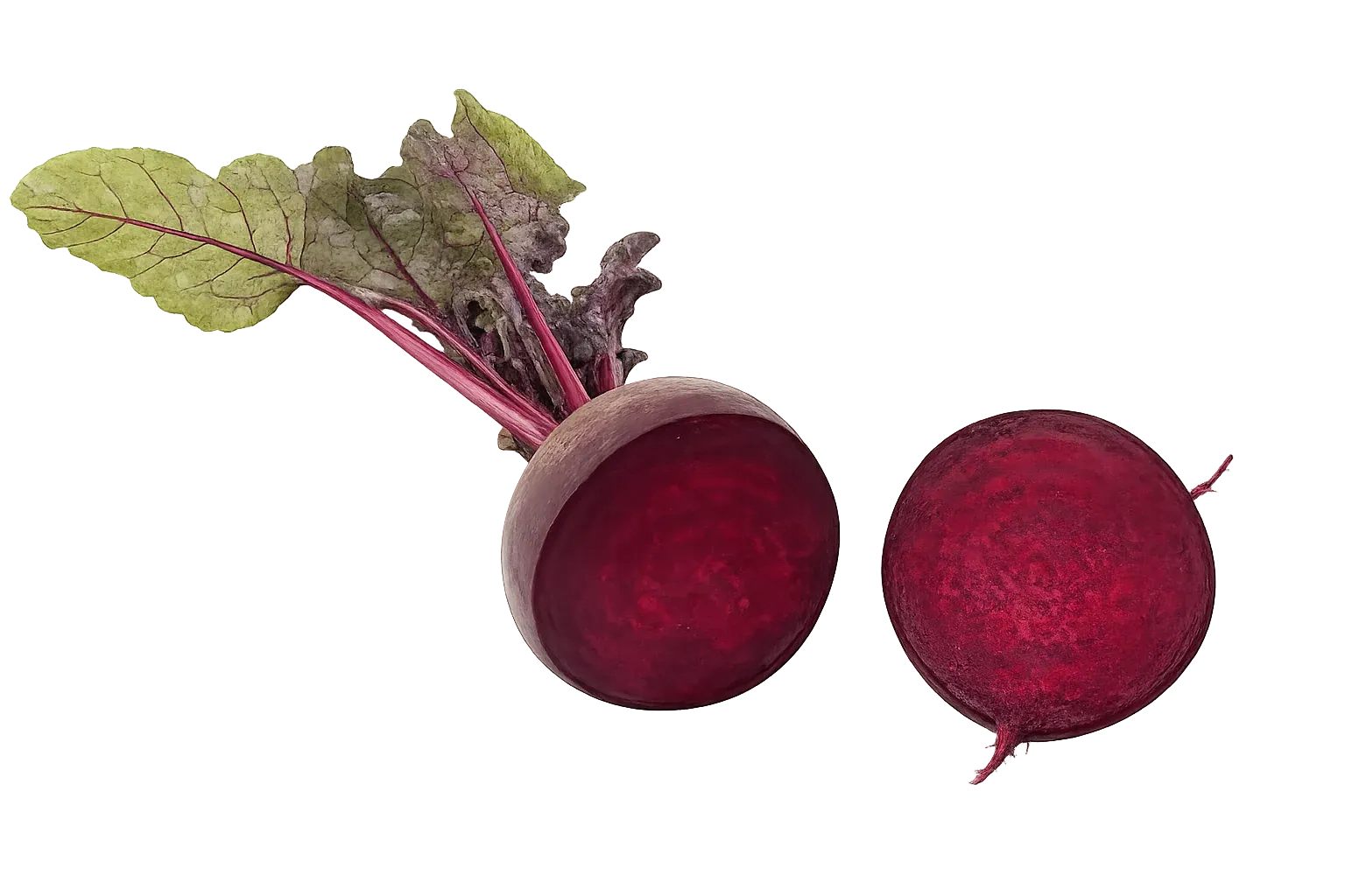 Semințe Sfeclă Roșie Rijk Zwaan Monty F1