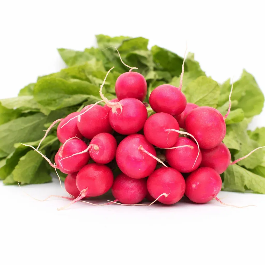 Semințe Ridichi Satimex Presto