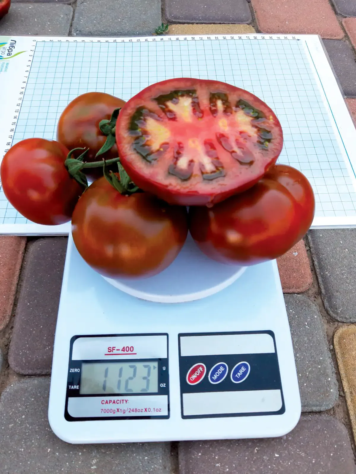 Semințe Tomate Libra Seeds Keruc F1