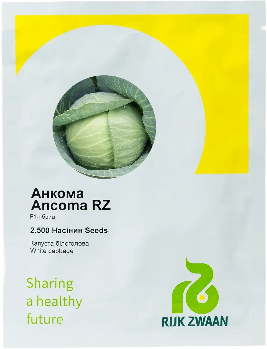 Semințe Varză Albă Rijk Zwaan Ancoma F1
