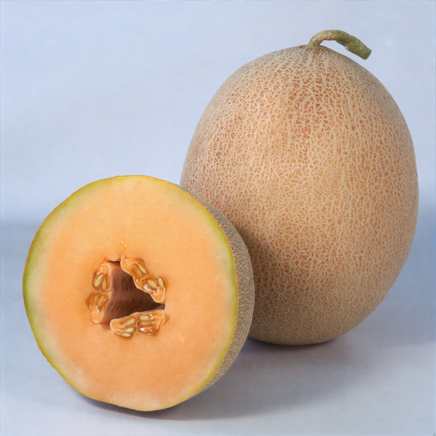 Semințe Pepene Galben Kitano Tribeca F1 (KS 6147)