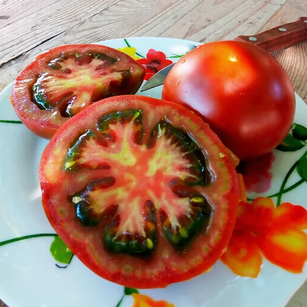 Semințe Tomate Libra Seeds Silivri F1