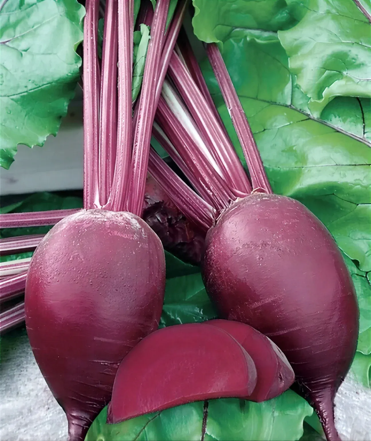 Semințe Sfeclă Roșie Rijk Zwaan Monty F1