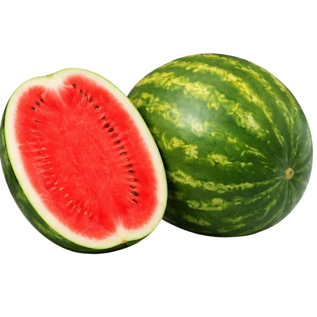 Semințe Pepene Verde Syngenta Topgun F1