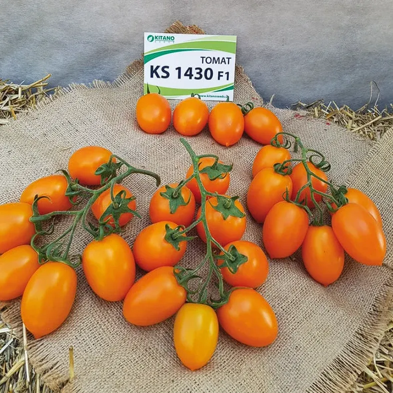 Semințe Tomate Kitano Benigara F1