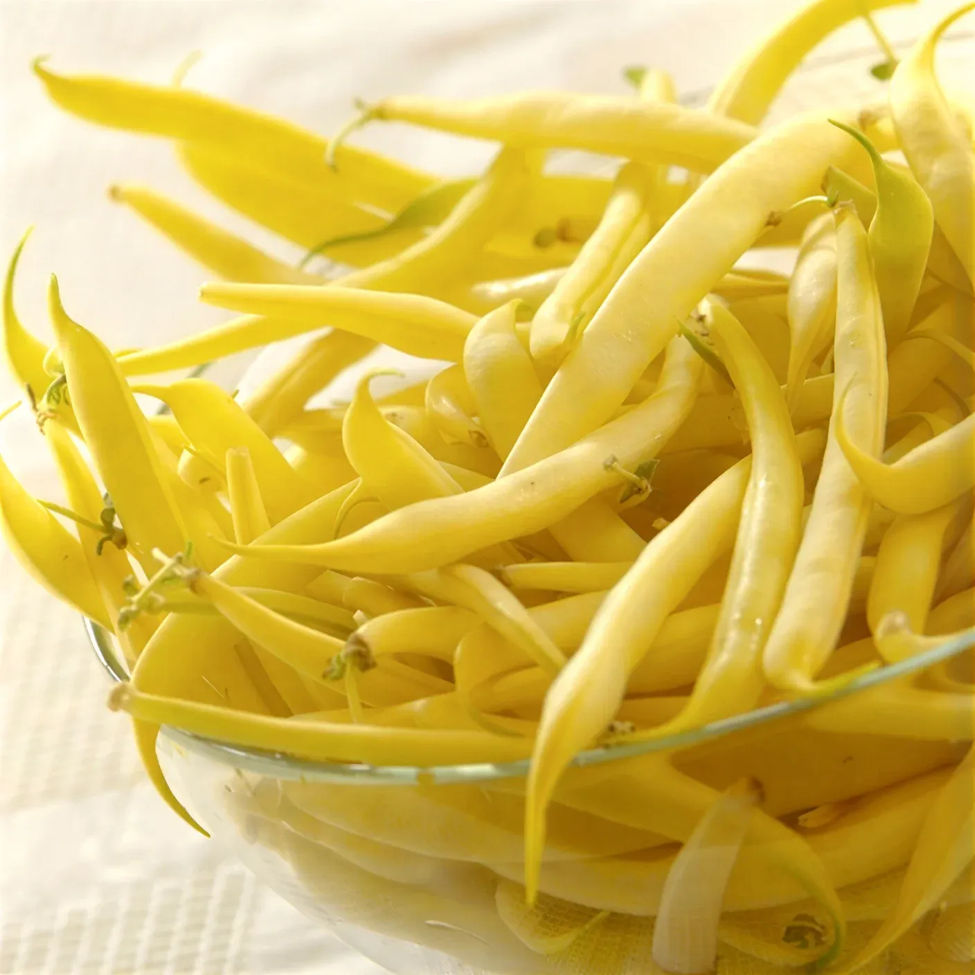 Semințe Fasole Urcătoare Satimex Gold Marie (soi)