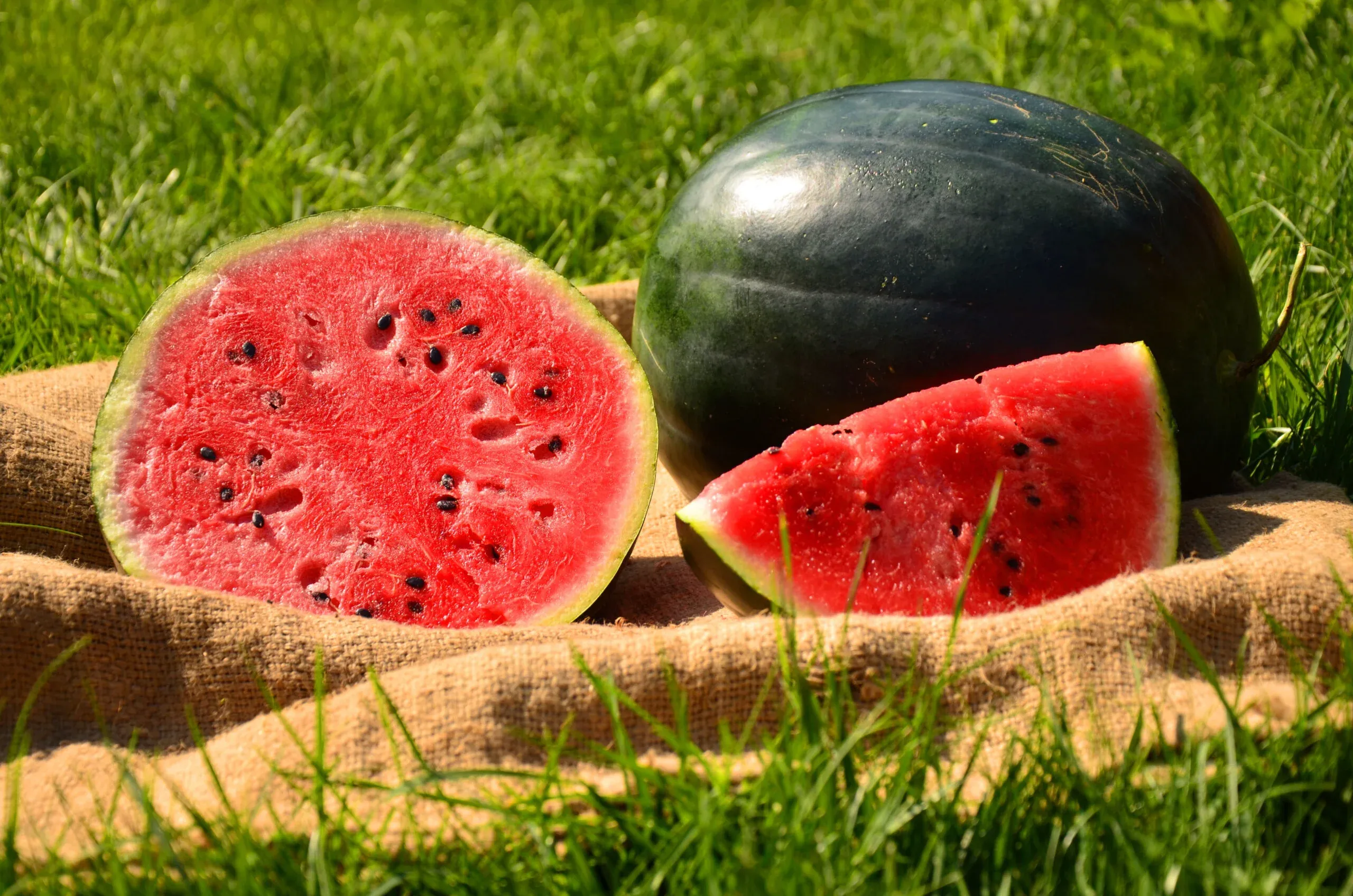 Semințe Pepene Verde ZKI Nosztalgia F1