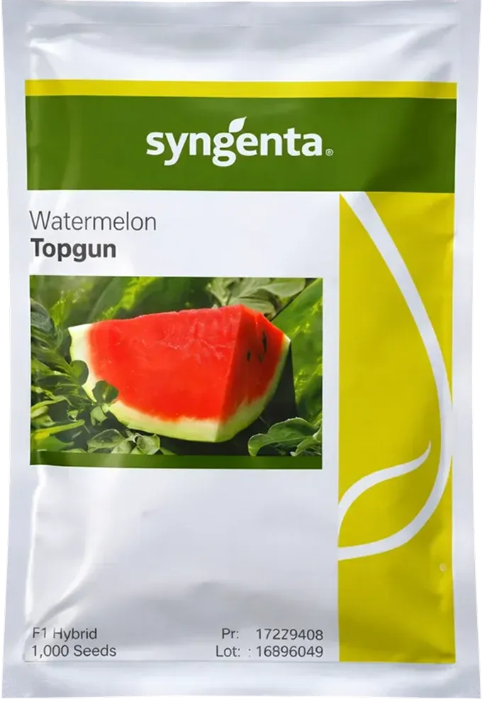 Semințe Pepene Verde Syngenta Topgun F1