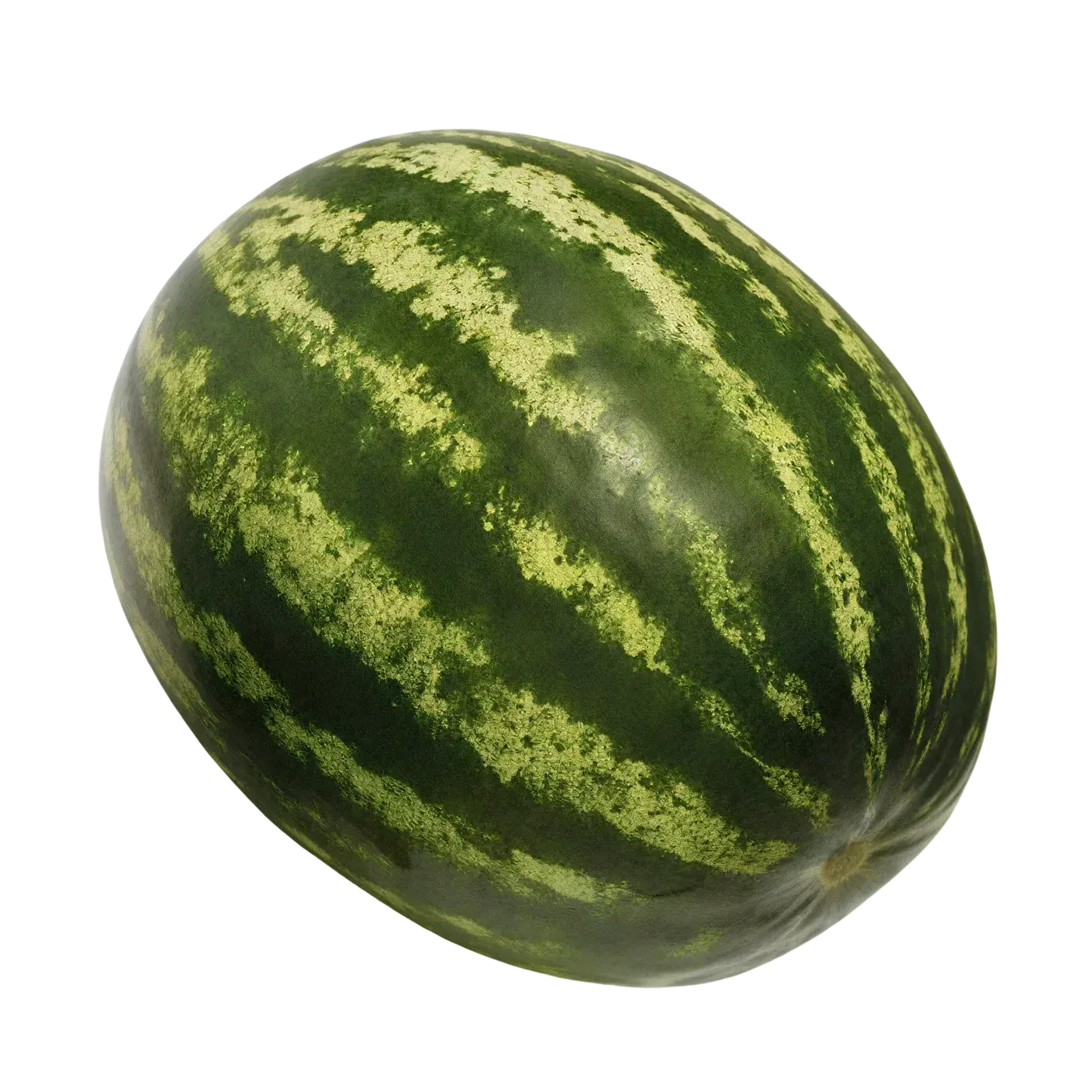 Semințe Pepene Verde Syngenta Topgun F1