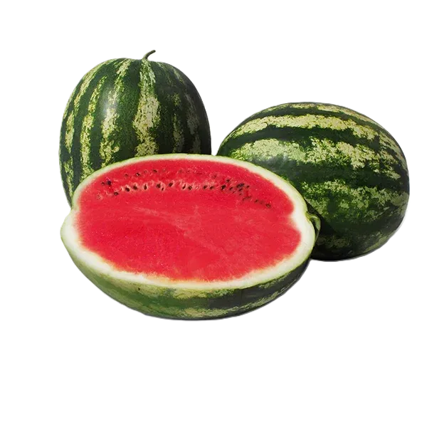 Semințe Pepene Verde ZKI Charisma F1