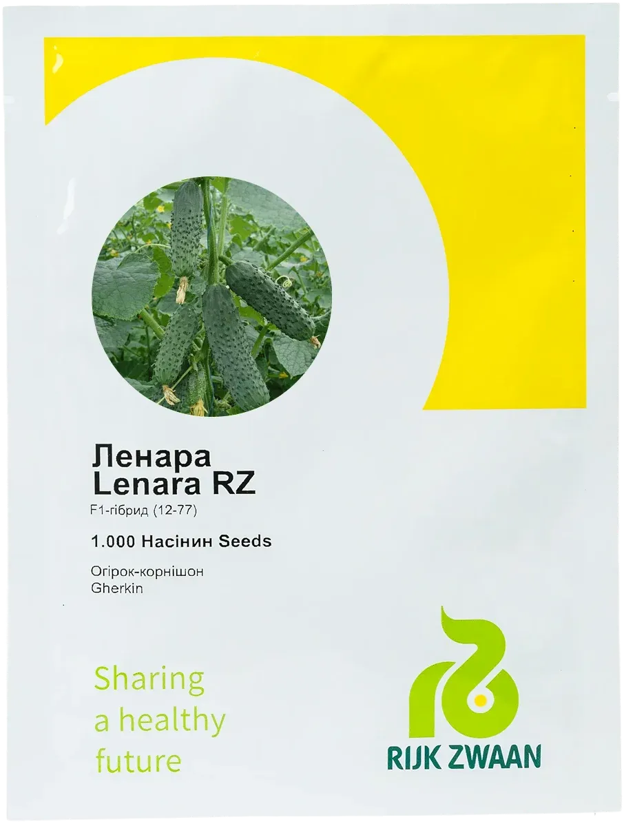 Semințe Castraveți Cornișon Rijk Zwaan Lenara F1