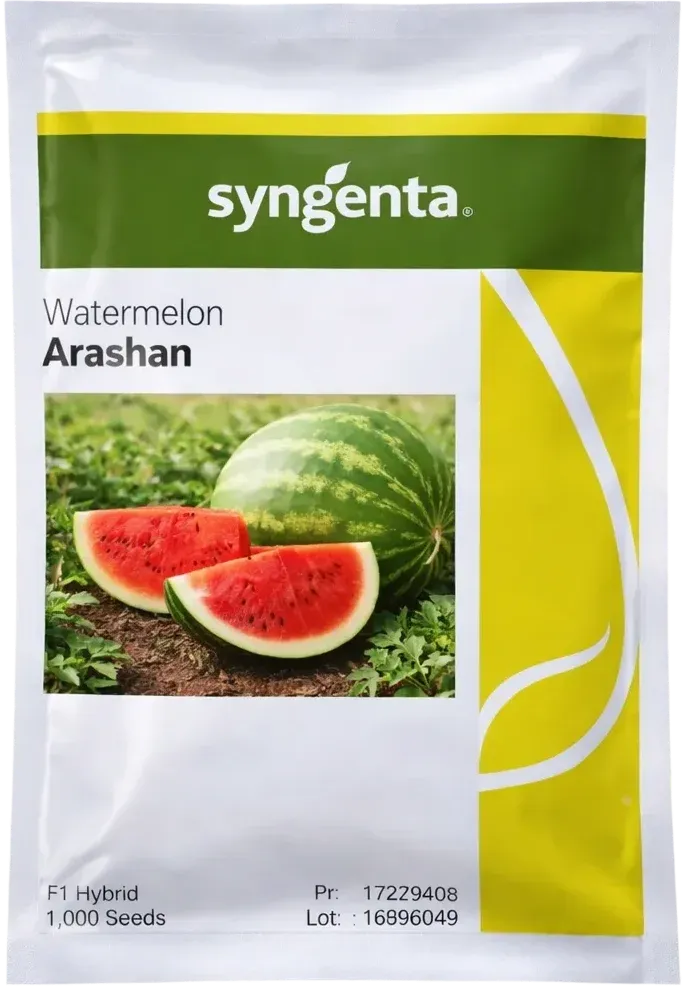 Semințe Pepene Verde Syngenta Arashan F1