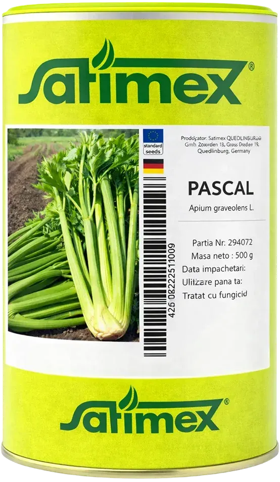 Semințe Țelină Frunzoasă Satimex Pascal