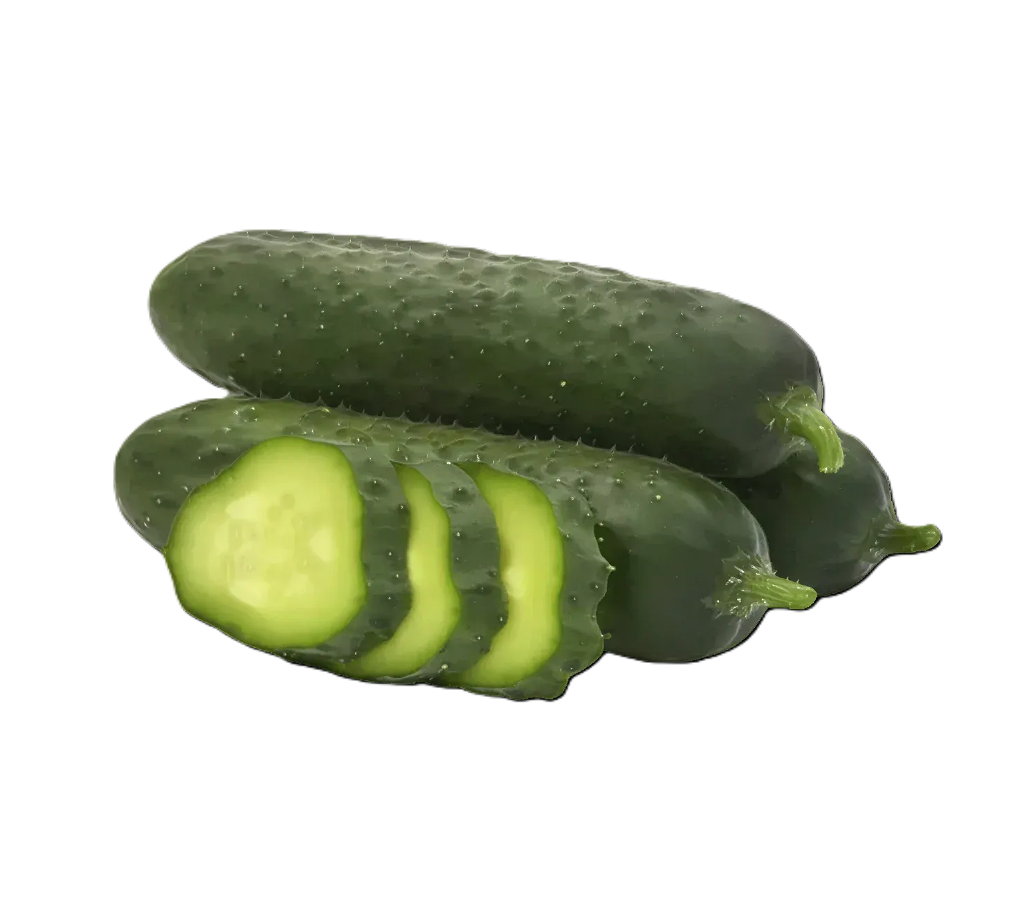 Semințe Castraveți ZKI Hansa F1