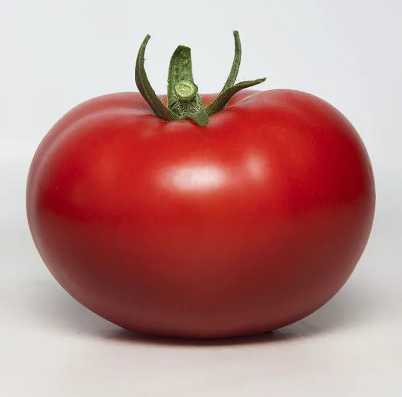 Semințe Tomate Kitano KS 301 F1