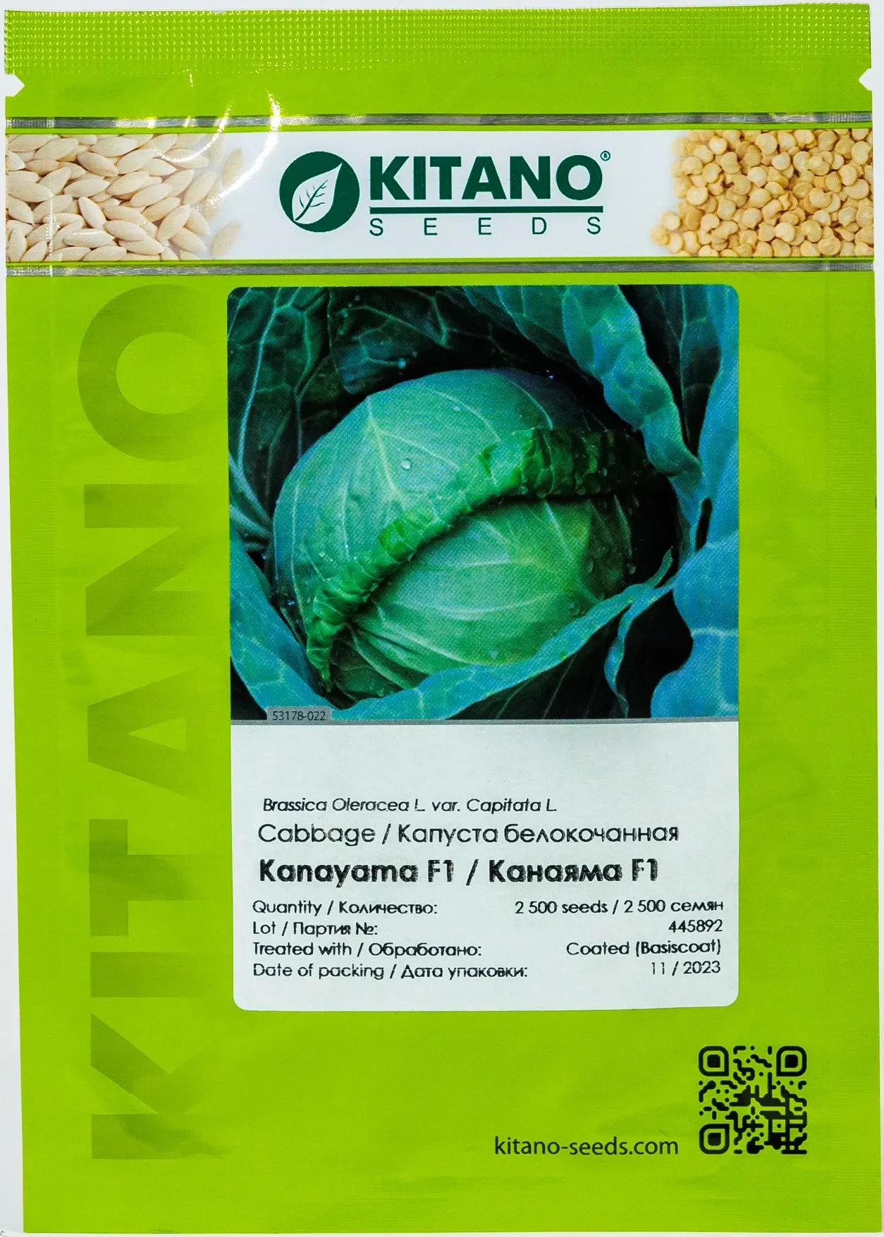 Kitano KS 412 F1 – Semințe profesionale de varză “Kanayama” (2.500 semințe)