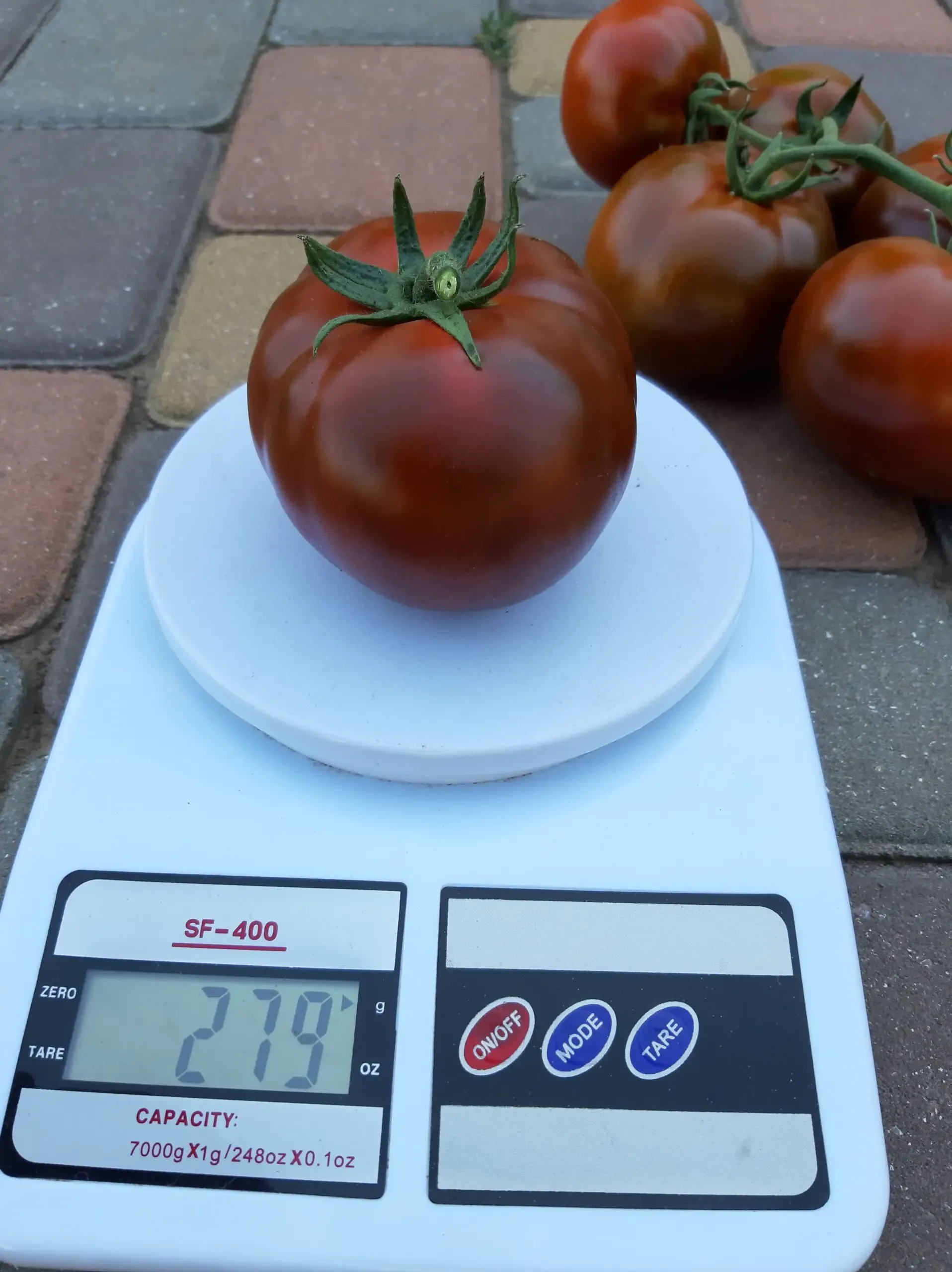 Semințe Tomate Libra Seeds Keruc F1