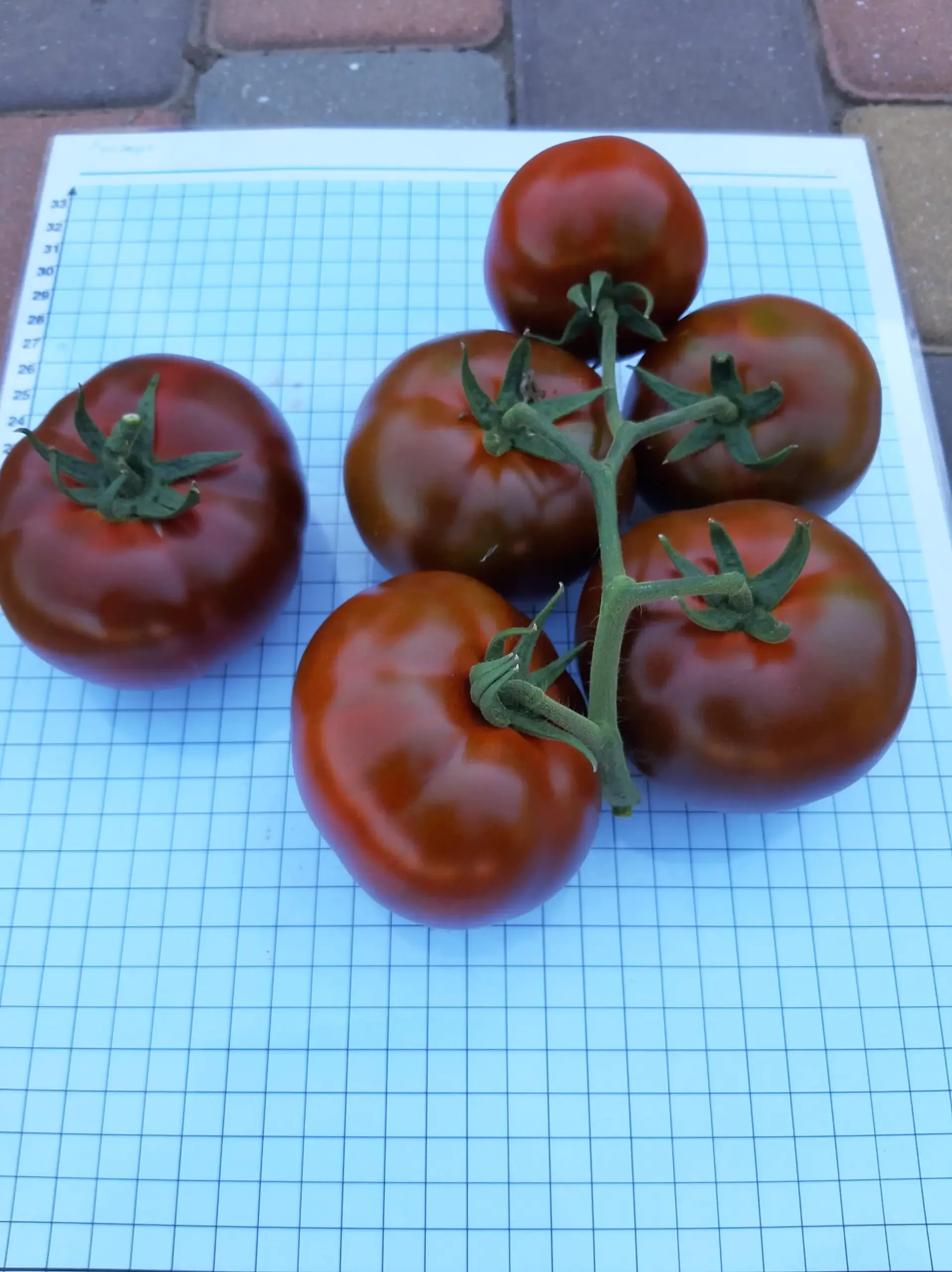 Semințe Tomate Libra Seeds Keruc F1