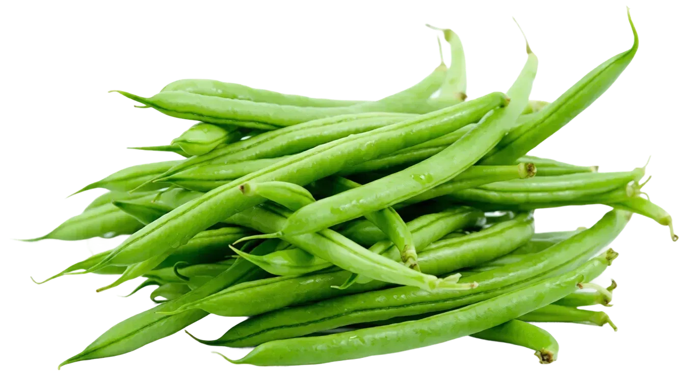 Semințe Fasole Păstăi Satimex Valja (soi)