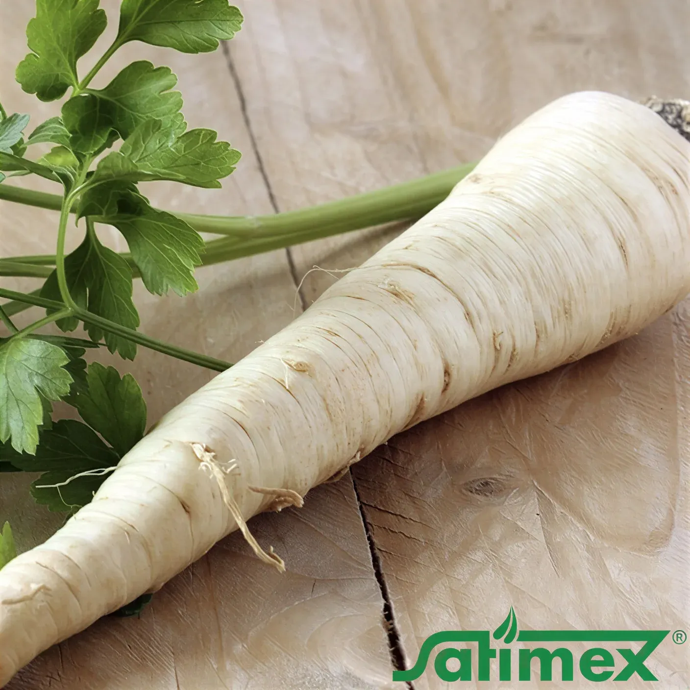 Semințe Pătrunjel de Rădăcină Satimex Berlinova