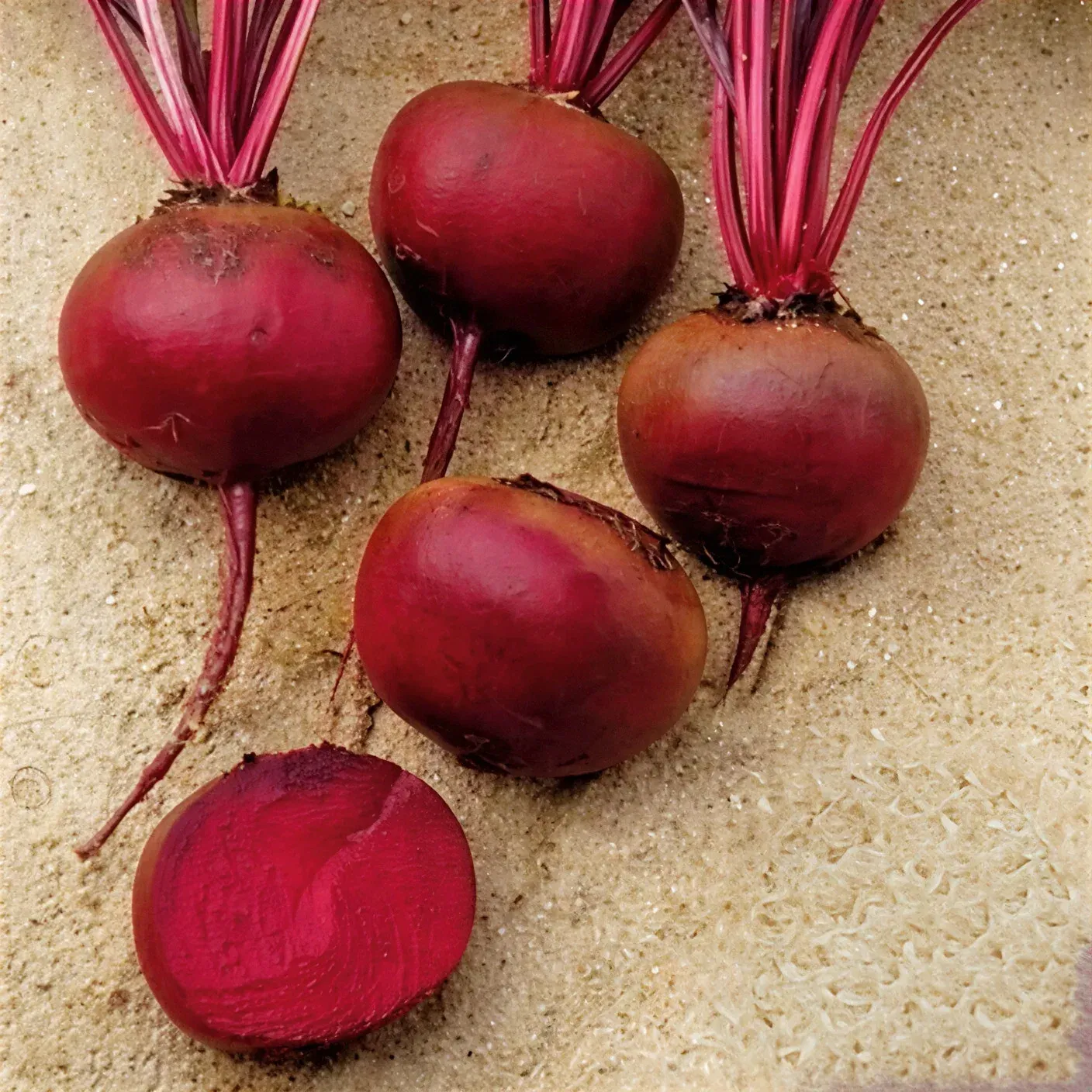 Semințe Sfeclă Roșie Rijk Zwaan Monty F1