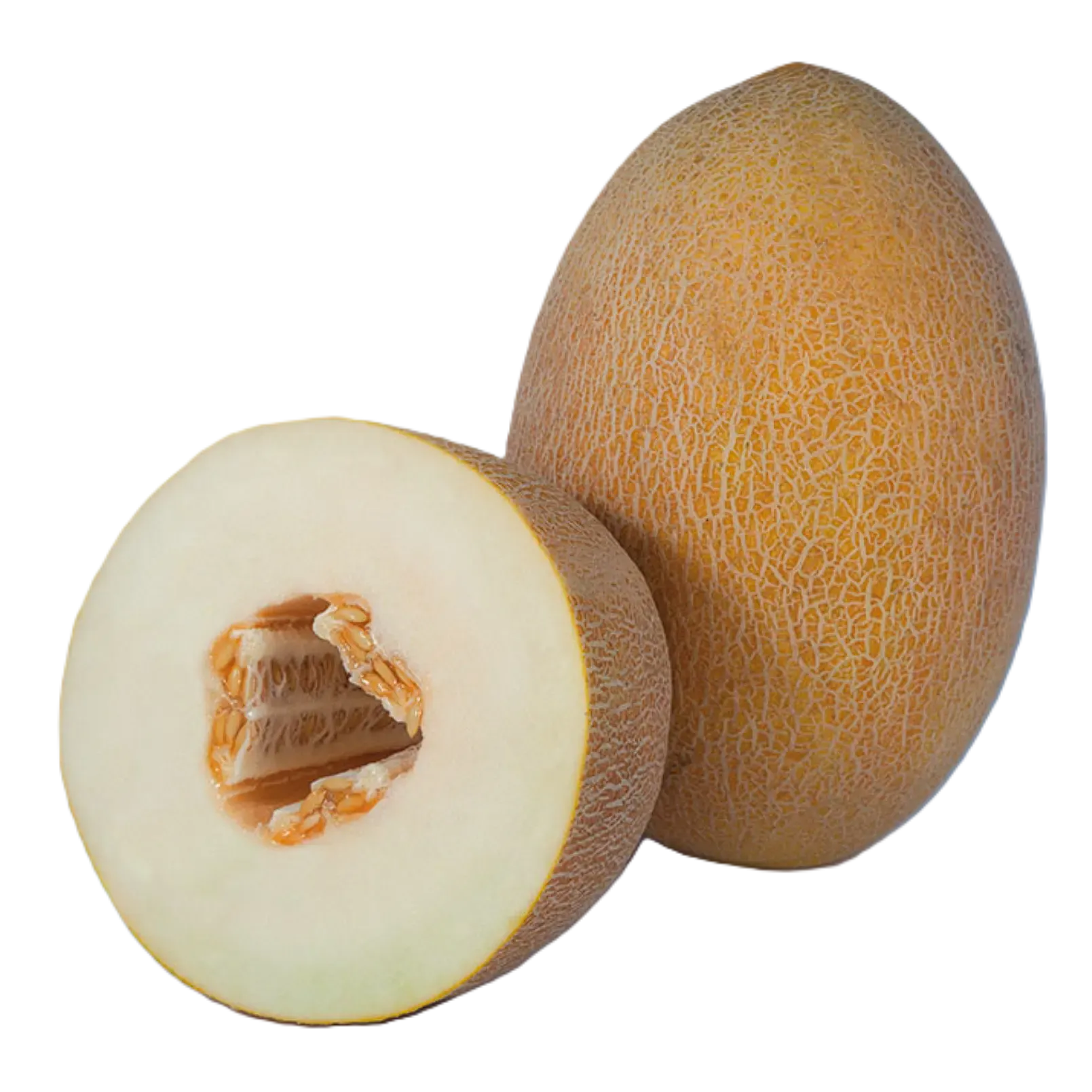 KS 6188 F1 Сubus F1