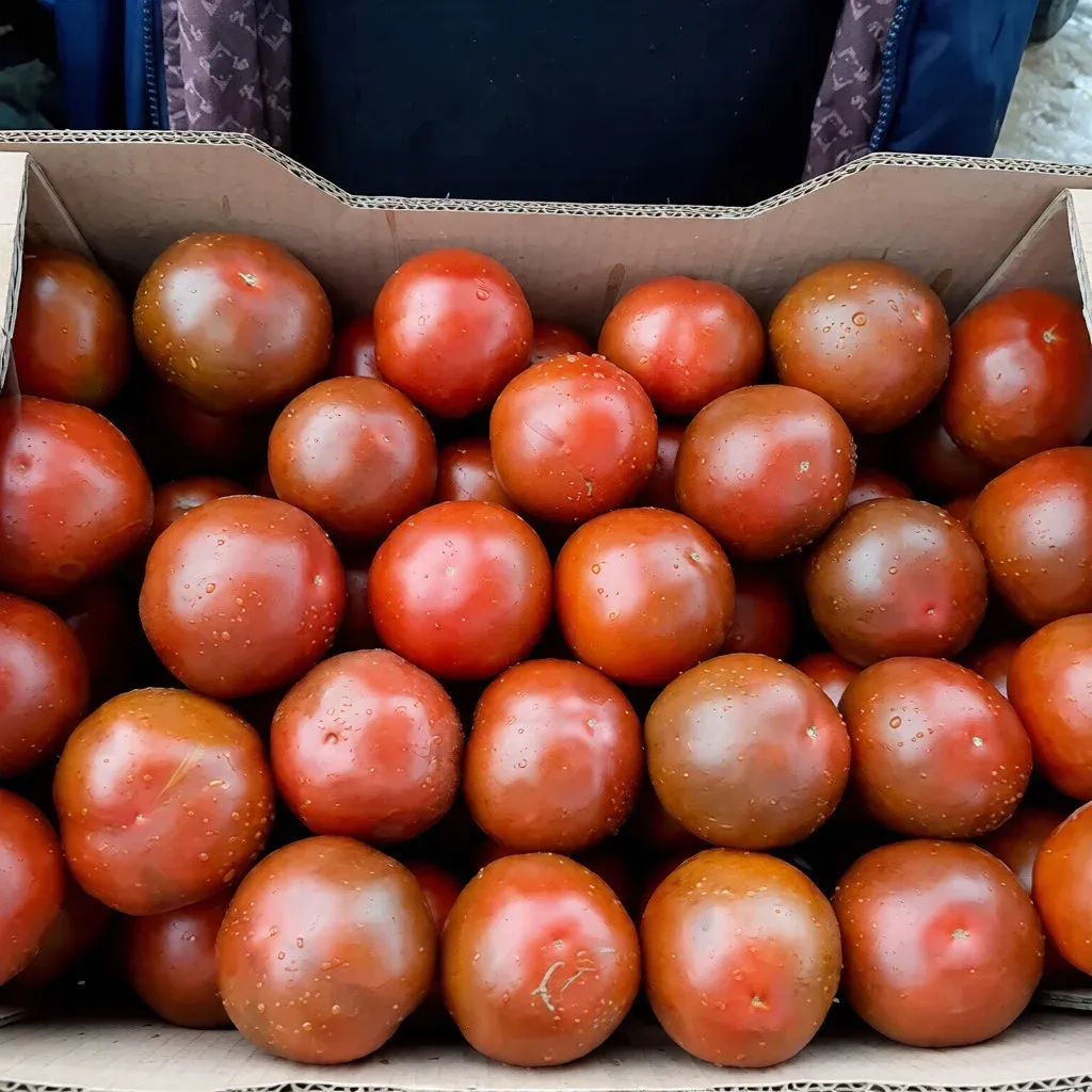 Semințe Tomate Libra Seeds Silivri F1