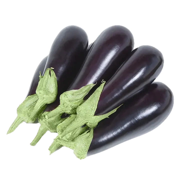 Semințe Vânătă Kitano KS 1258 F1