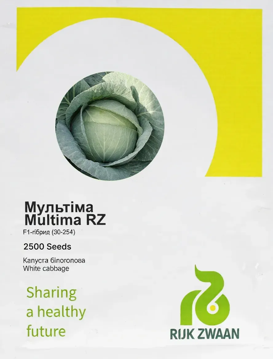 Semințe Varză Albă Rijk Zwaan Multima F1