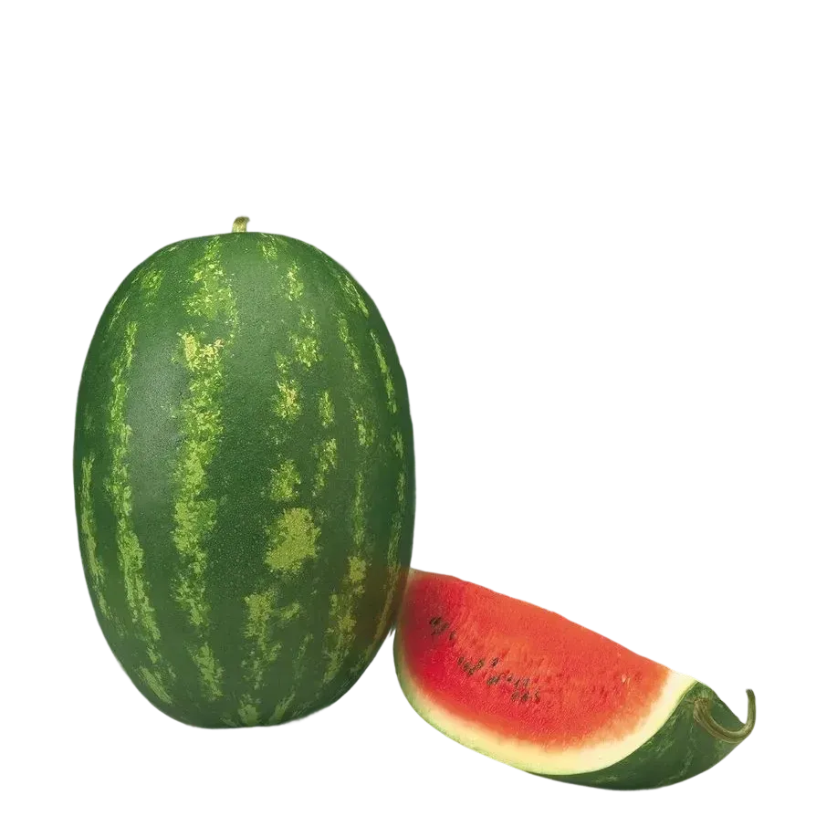 Semințe Pepene Verde Syngenta Topgun F1