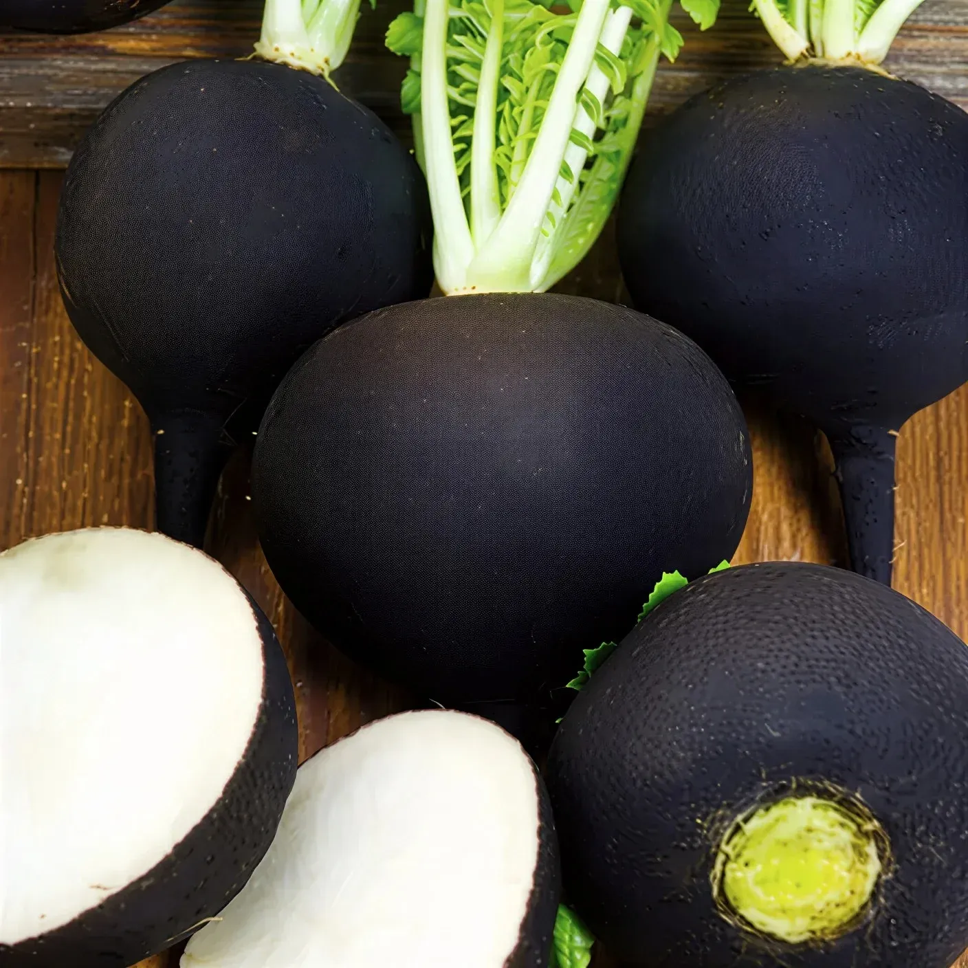 Semințe Ridiche de Iarnă Satimex Black Winter