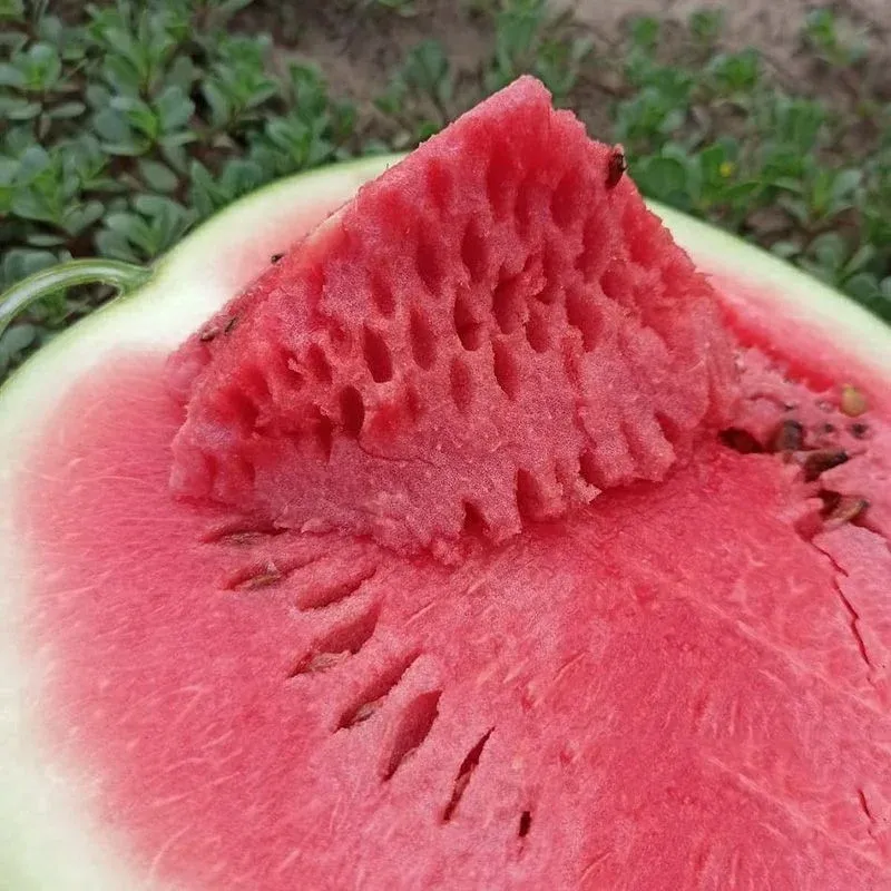 Pepene Verde KS 160 F1