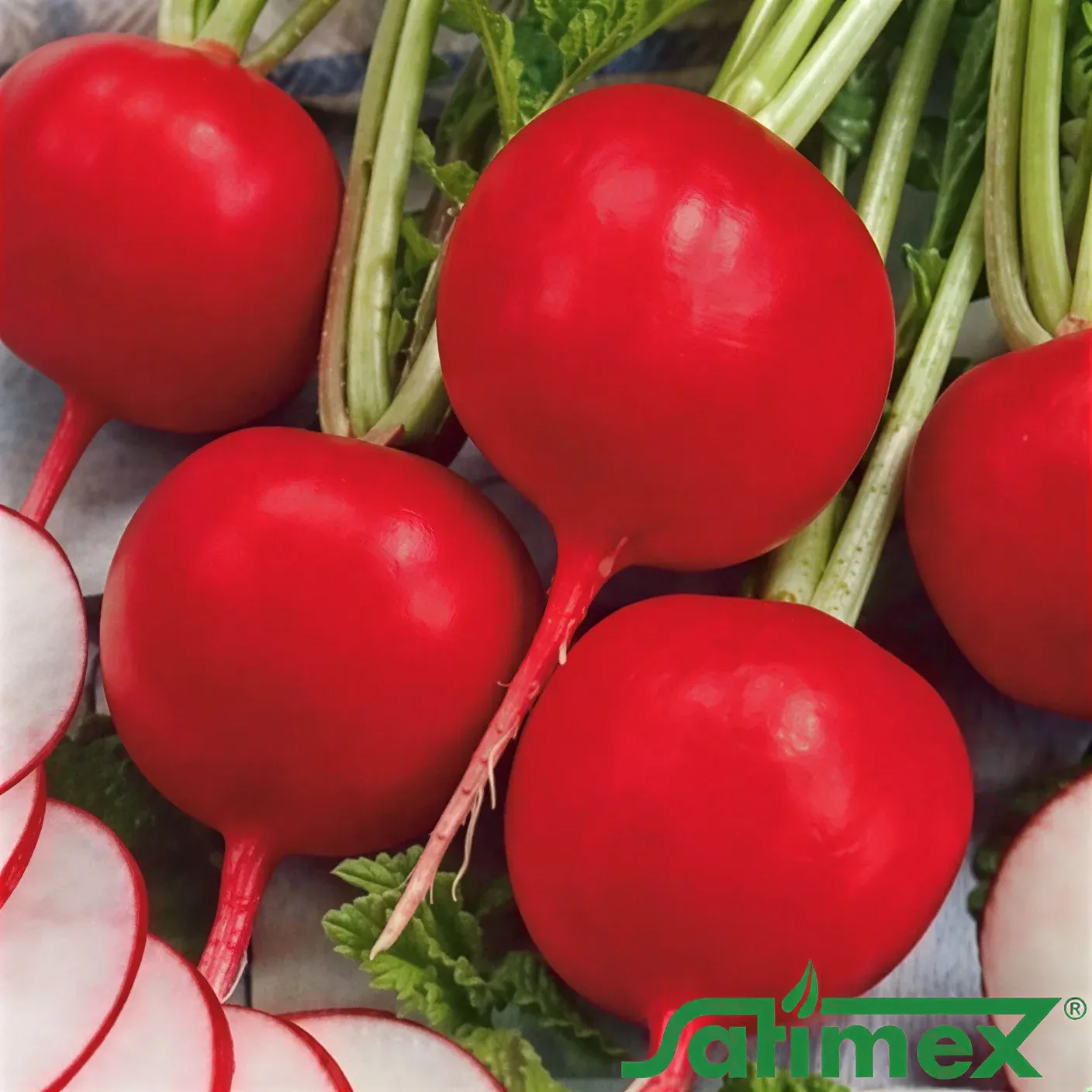 Semințe Ridichi Satimex Presto