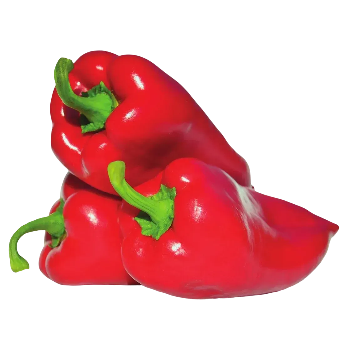 Semințe Ardei ZKI Navigator F1