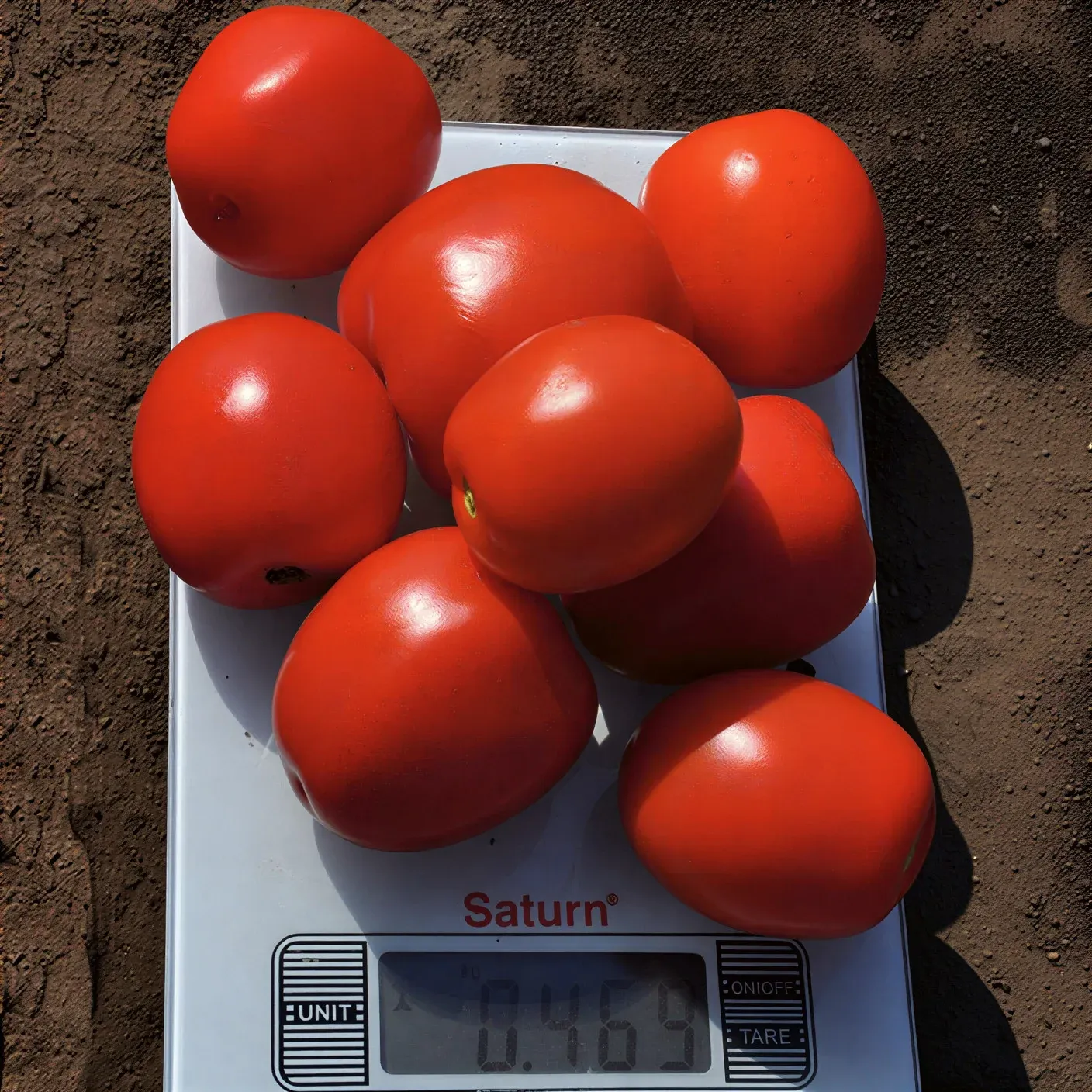 Semințe Tomate Libra Seeds Megrez F1