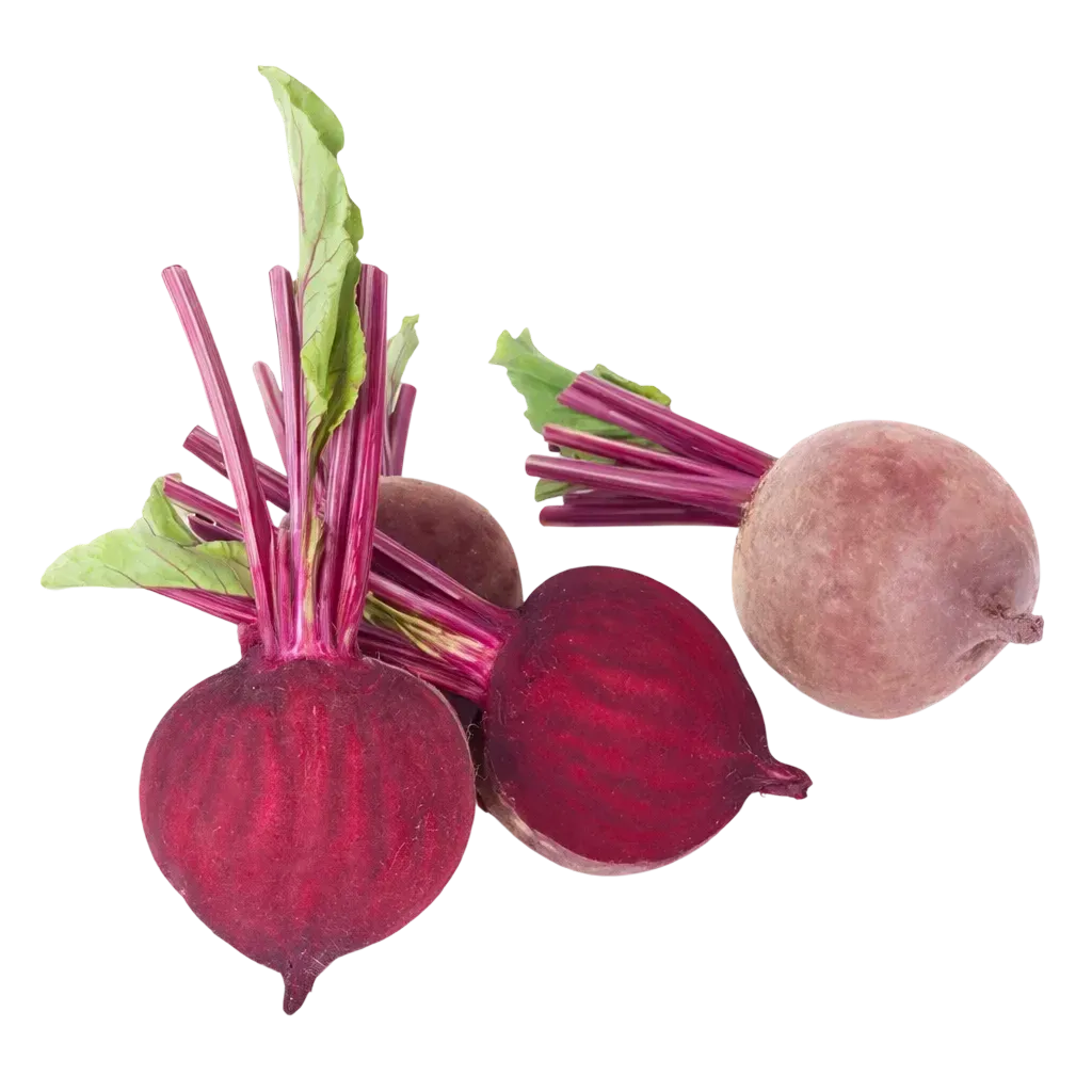 Semințe Sfeclă Roșie Rijk Zwaan Monty F1