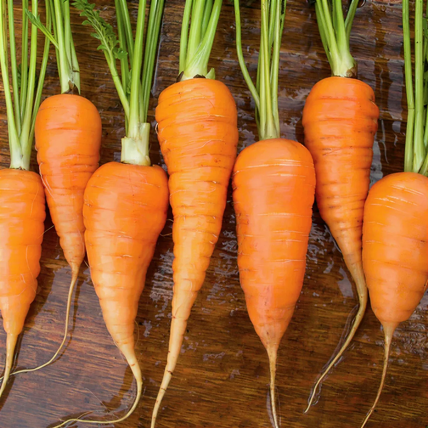 Semințe Morcov Satimex Royal Chantenay Red Cored