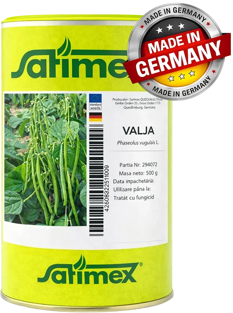 Semințe Fasole Păstăi Satimex Valja (soi)