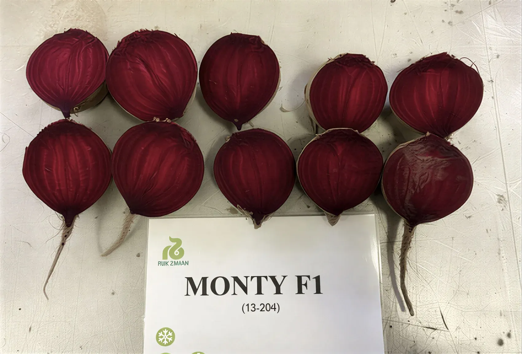 Semințe Sfeclă Roșie Rijk Zwaan Monty F1